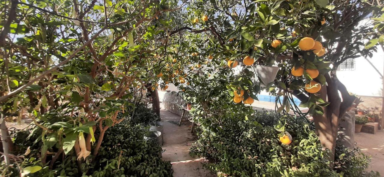 Cortijo Ferre, A Los Pies Del Castillo La Atalaya De Níjar Exteriör bild