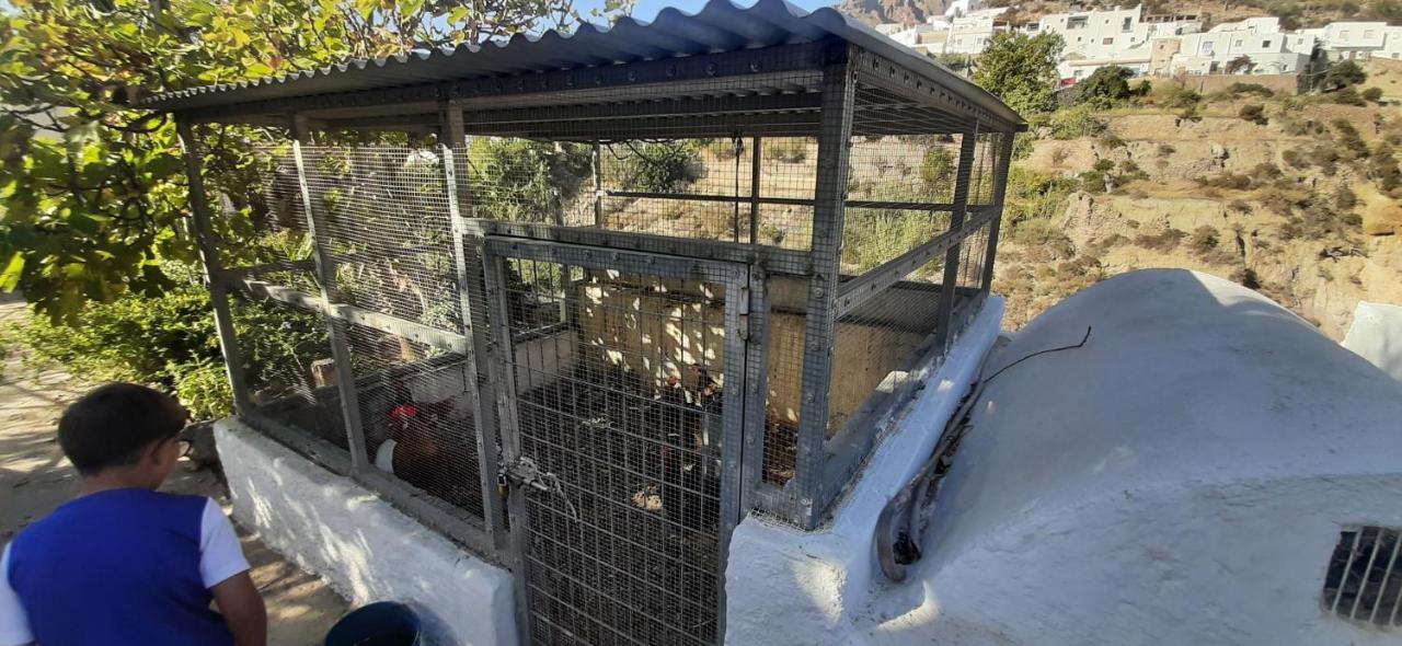 Cortijo Ferre, A Los Pies Del Castillo La Atalaya De Níjar Exteriör bild