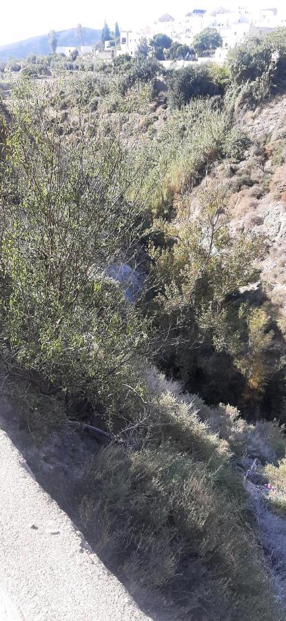 Cortijo Ferre, A Los Pies Del Castillo La Atalaya De Níjar Exteriör bild