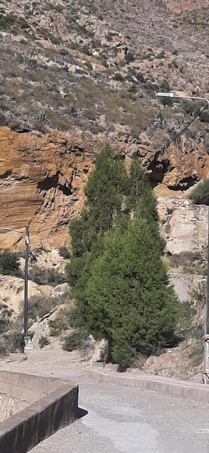 Cortijo Ferre, A Los Pies Del Castillo La Atalaya De Níjar Exteriör bild